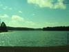 TBD Edisto Lake Road
 Wagener SC 29164