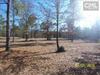 978 Old 96 Indian Trail
 Monetta SC 29105