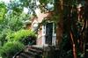 156 LAUREL BRANCH WAY, Columbia SC 29212